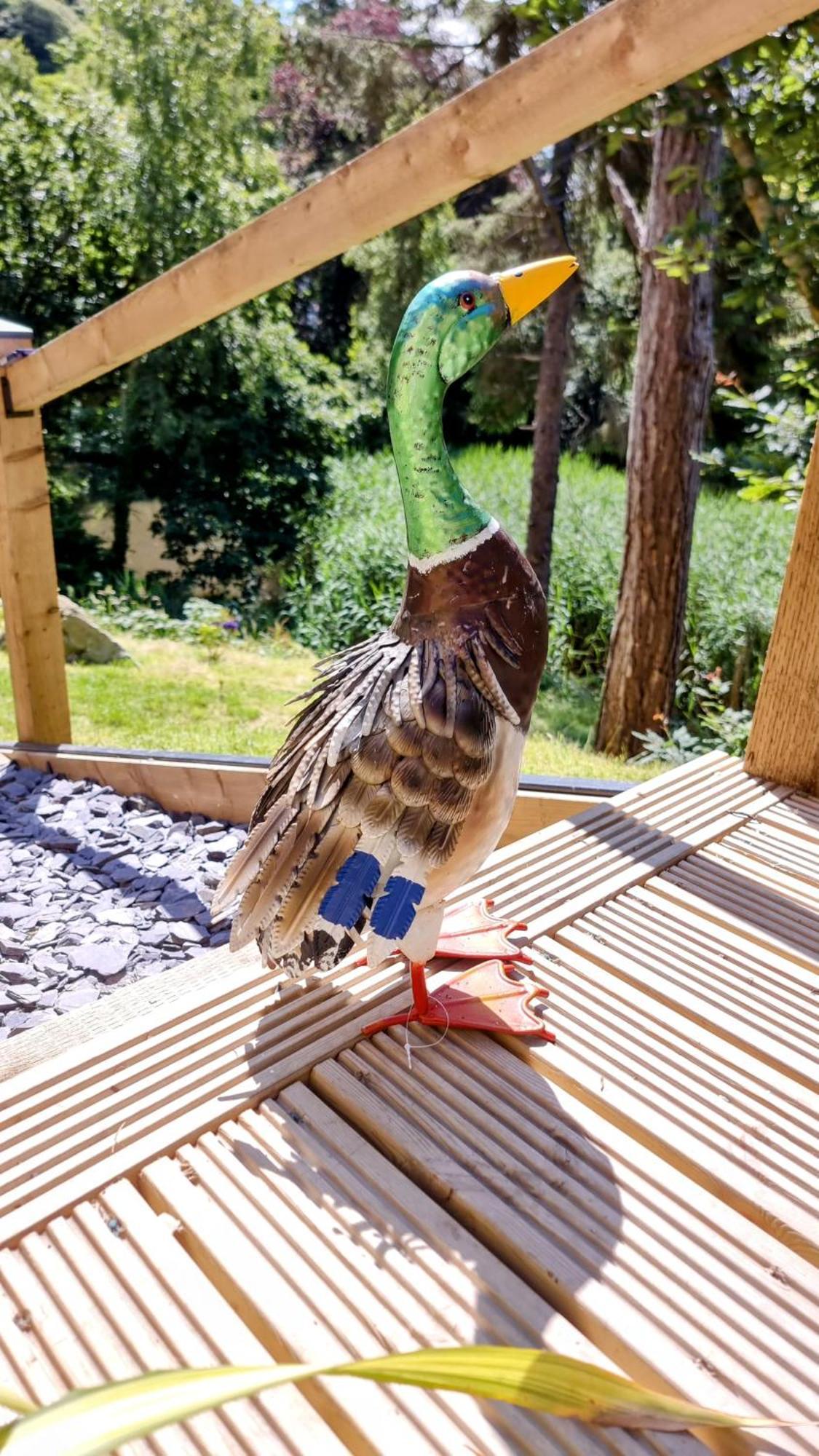 Appartamento The Duck House Barmouth Esterno foto