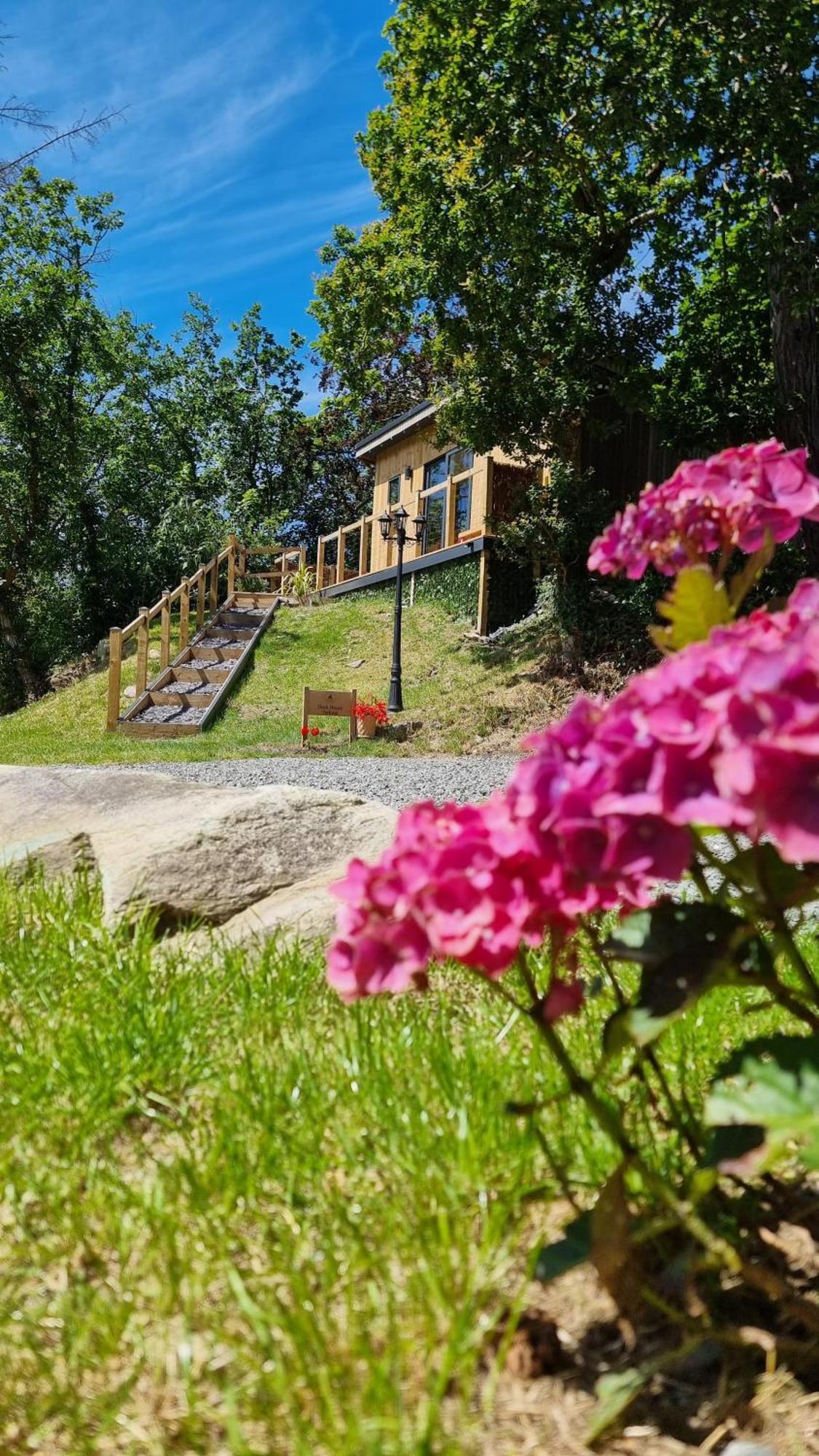 Appartamento The Duck House Barmouth Esterno foto